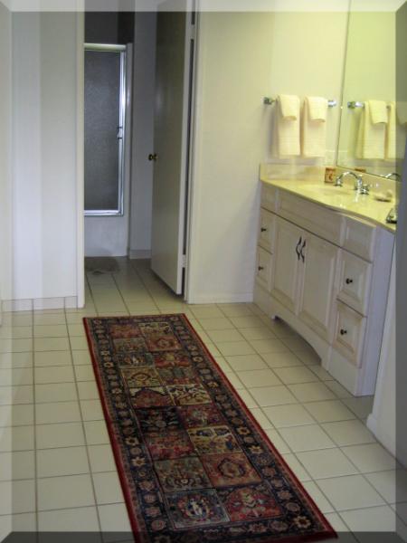 masterbathroom with walk in closet and sink area